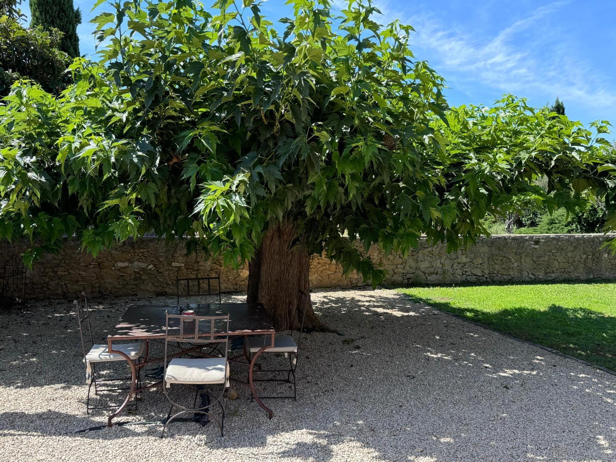 Bastide Du Buou Διαμέρισμα Puyvert Δωμάτιο φωτογραφία